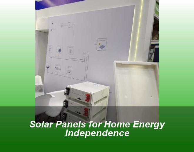 Solar Panels for Home Energy Independence